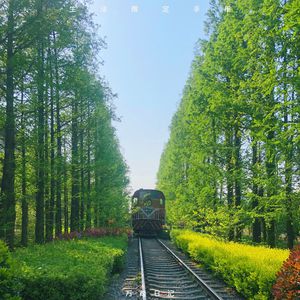 男男Gey互操视频网站
