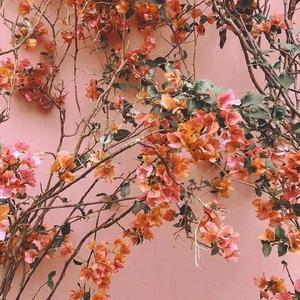 男男Gey互操视频网站
